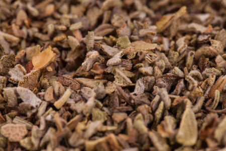 Sage Extreme Closeup Macro Texture showing all tiny Detailsの写真素材