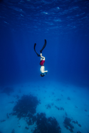 Underwater image of a Freediver with fins going downの写真素材
