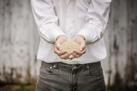 Farmer Showing Animal Dry Food in its handsの写真素材