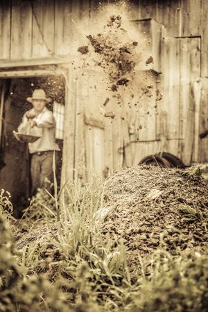 Farmer Shoveling the Horse Manure out of the Barnの写真素材