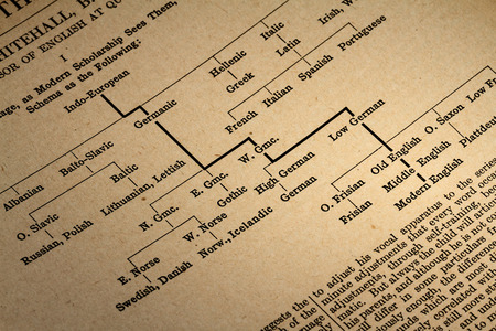 October 7th, 2015 - Montreal, Canada. Old and Vintage 1945 English Webster Dictionary. Explanation of the Evolution of English Language from Indo-European to Modern Englishのeditorial素材