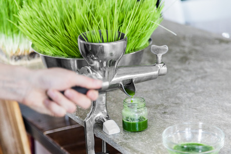 Extraction of Wheatgrass in Action on the Kitchen Countertop using a Metal Manual Juicer