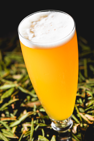 Spicy Home Hazy Brew Beer with Pepper and Labrador tea under Studio Lightingの写真素材