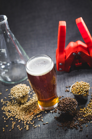 Homebrew Honey Brown Beer, Different Barley and Brewing Equipment in Studio with Dramatic Lightの写真素材