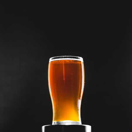 Brown Red Ale Homebrew Beer Pint on a Stand in Studio with Dramatic lightの写真素材