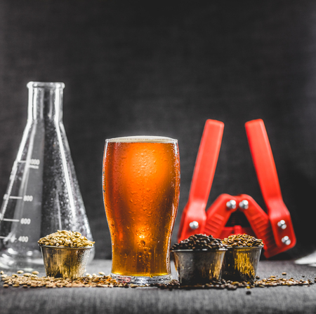 Homebrew Honey Brown Beer, Different Barley and Brewing Equipment in Studio with Dramatic Lightの写真素材