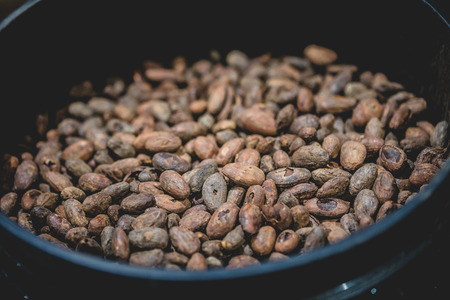 Close-up shot of aromatic dark colored organic cocoa beans in jarの写真素材