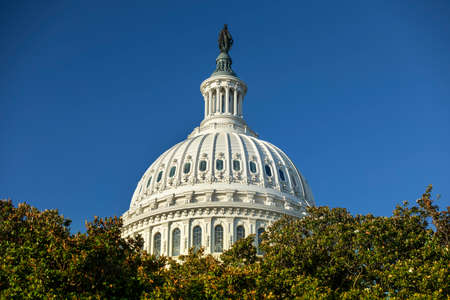United States Capitol and the Senate Building, Washington DC USAの写真素材