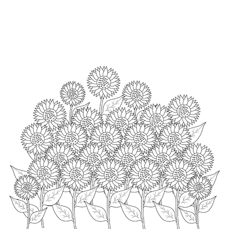 sunflower on white backgroundのイラスト素材
