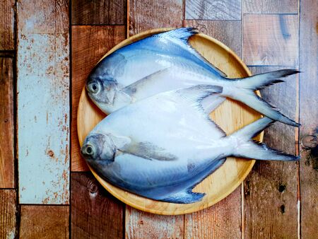 White pomfret fish on wooden background.の写真素材