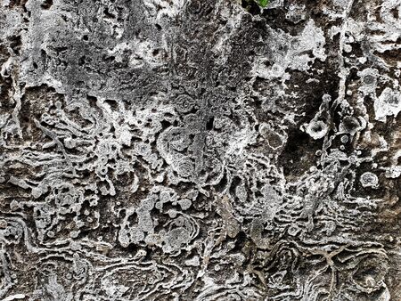 Old grungy concrete wall texture