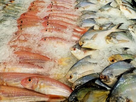 Fresh fish in the seafood market.