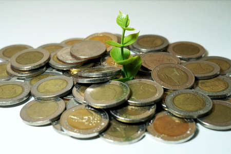 Coin on white background. Concept of savings money or investment financial.