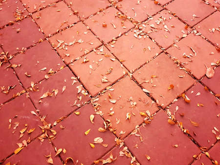Abstract sidewalk floor background and texture.の写真素材