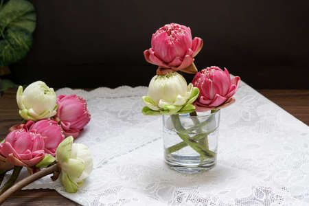 Beautiful pink and white lotus flower in a glass on the table for praying buddha.の写真素材