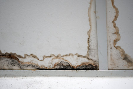Water damaged gypsum board ceiling.