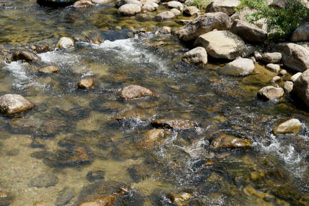 Mountain stream in summer seasonの写真素材