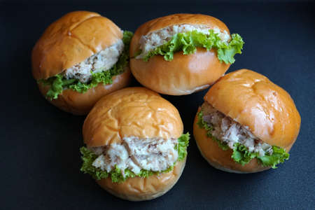 Tuna hamburger on dark blue background.の写真素材