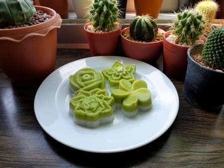 Thai traditional dessert Pandan coconut milk jelly flowers with cactus on wooden background.