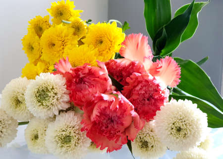 Beautiful red, yellow, white of a bunch of flowers.