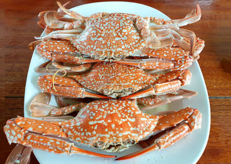 Steamed blue crab in the plate on wooden background.の写真素材