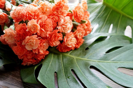 Beautiful orange carnation flowers bouquet on green Monstera Deliciosa Leaf.