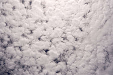 Stratus clouds in the blue sky backgrounds.の写真素材