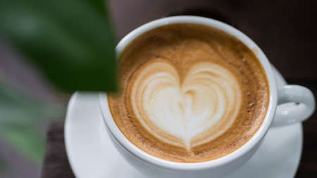 A cup of hot late in a green environmentの写真素材