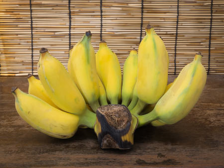 close up on cultivated bananaの写真素材
