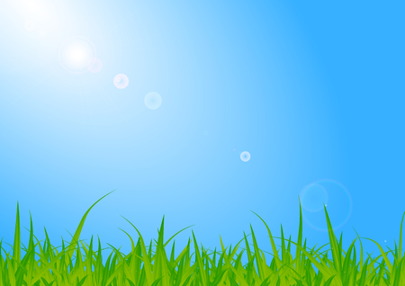 Green grass with flare light of sun and dew drops details on the blue background のイラスト素材