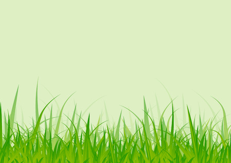 Green grass gradient like fog Details on the green background のイラスト素材