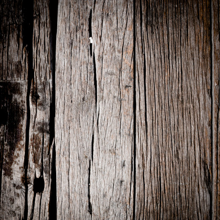 close up of wood texture use as natural backgroundの写真素材