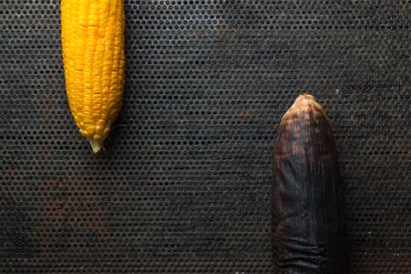 Still life, Grilled Corn on old steel sheetの写真素材