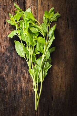One bundle of Fresh organic basil on old wooden tableの写真素材