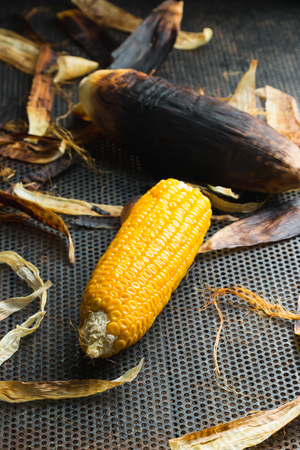 Still life, Grilled Corn on old steel sheetの写真素材