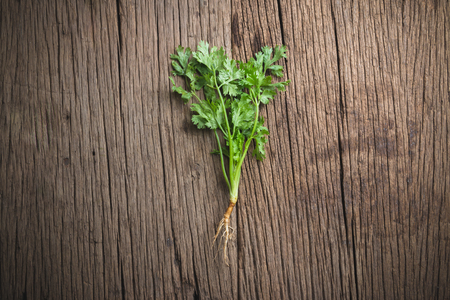 One of coriander on old woodの写真素材