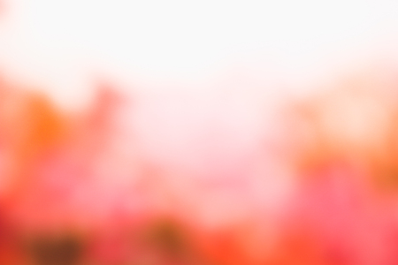 Abstract Blur of blurred lights with bokeh effectの写真素材