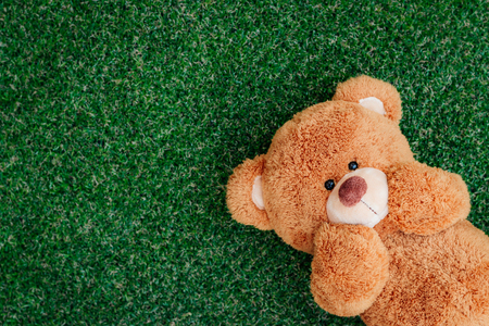 Cute teddy bear on green grass backgroundの写真素材