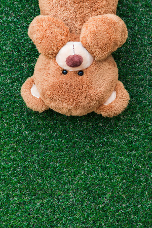 Cute teddy bear on green grass backgroundの写真素材