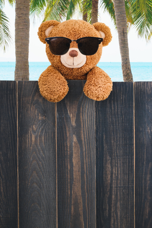 Cute teddy bear  wears sunglasses on the beach with copy space wood backgroundの写真素材