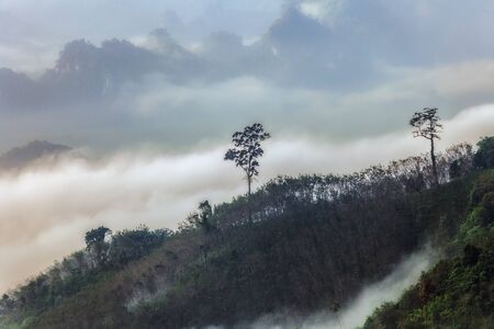 Doi TaPang view point Chumphon province thailand.