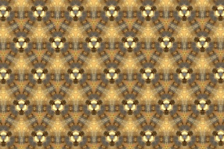 Brown and gold patterns.8の写真素材