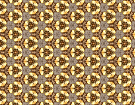 Brown and gold patterns.4の写真素材
