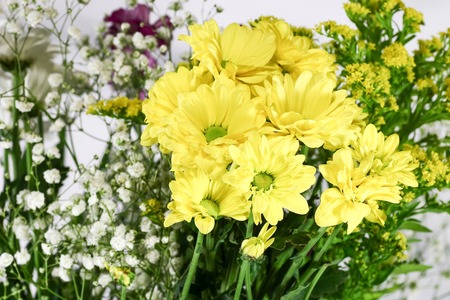 Yellow flowers.の写真素材