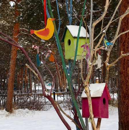 Houses for the birds in the trees in the park.の写真素材