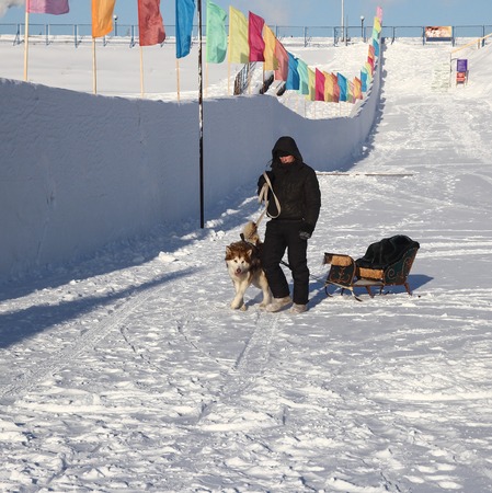 Sled dogs. 1のeditorial素材