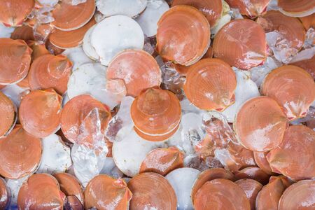 Scallop fresh at street food market in thailandの写真素材