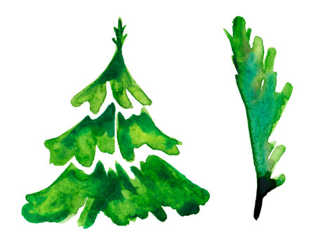 Watercolor illustration with a Christmas tree. Small set of spruce and branch.の写真素材