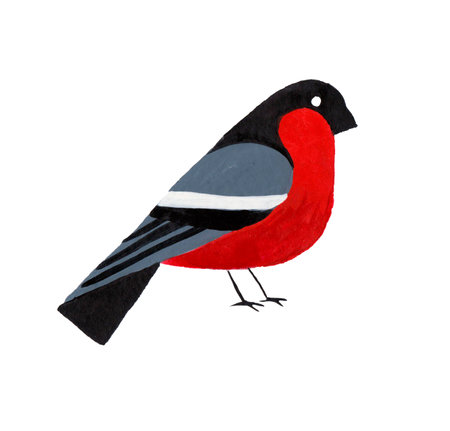 Watercolor bullfinch. Handmade illustration of a winter bird. The isolated object on a white backgroundの写真素材
