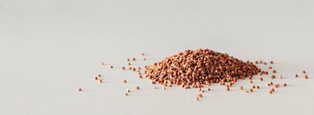 buckwheat. copy space white backgroundの写真素材